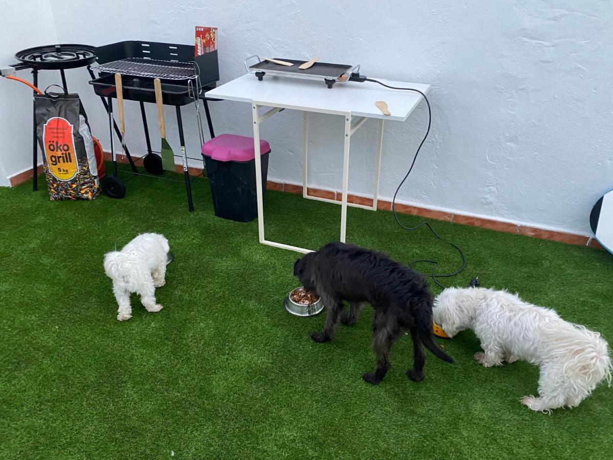 Ferienwohnung La Gema del Sur Maspalomas  Exterior foto