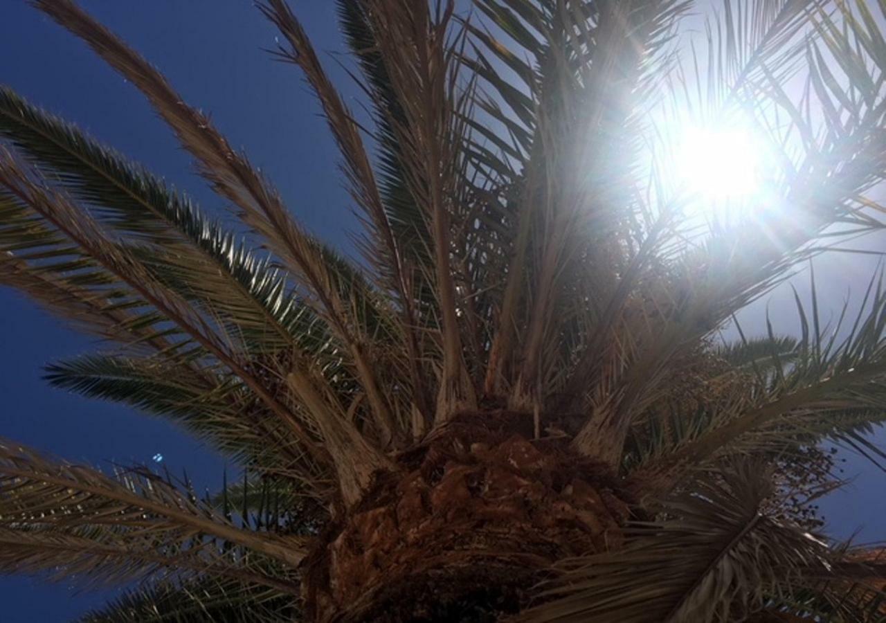 Ferienwohnung La Gema del Sur Maspalomas  Exterior foto